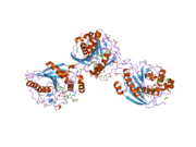 2ae7: Crystal Structure of Human M340H-Beta1,4-Galactosyltransferase-I (M340H-B4GAL-T1) in Complex with Pentasaccharide