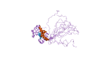 2hlw: Solution Structure of the Human Ubiquitin-conjugating Enzyme Variant Uev1a