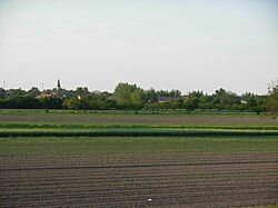 View of the village