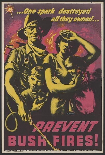 File:Prevent Bush Fires!.jpg