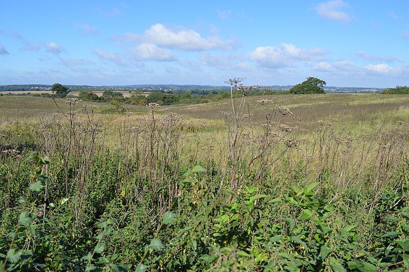 File:Pulloxhill Marsh 1.jpg