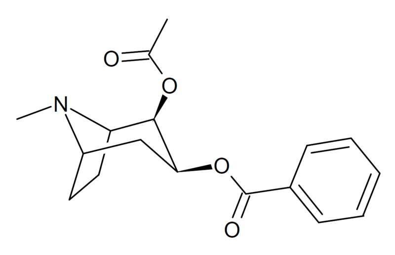 File:REC structure.png