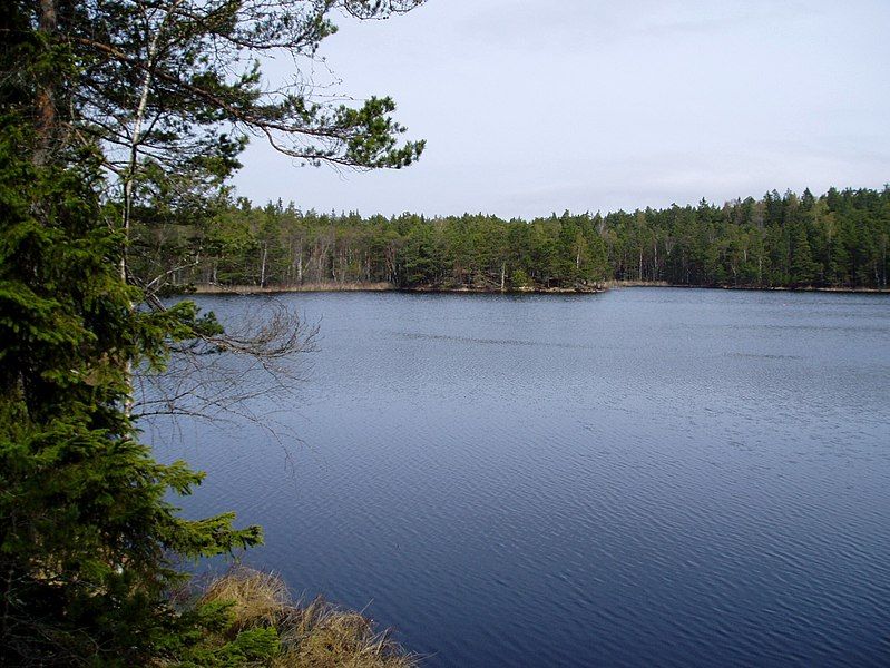 File:Trehörningen Tyresta nationalpark.jpg