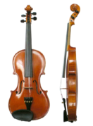 Violin