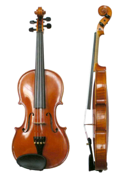 File:Violin VL100.png