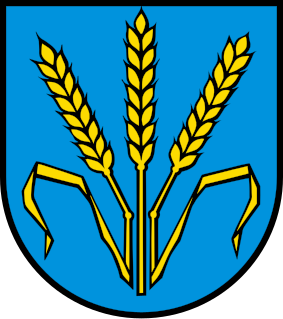 File:Wappen Lupfig.svg