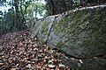 stone rows