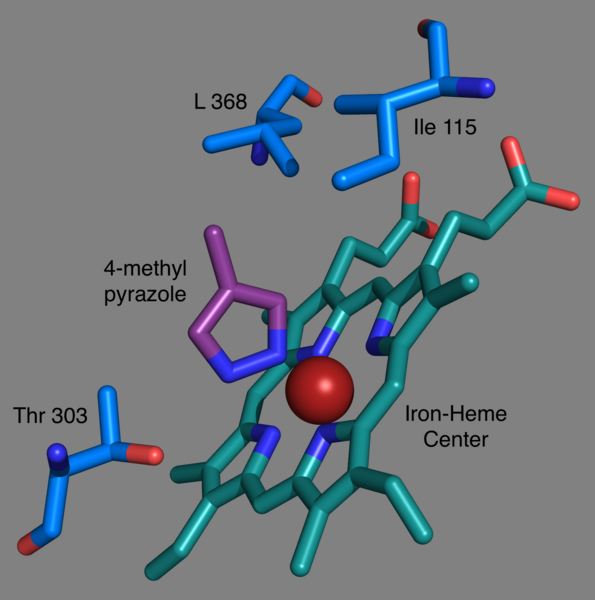 File:CYP2E1 Active site.png