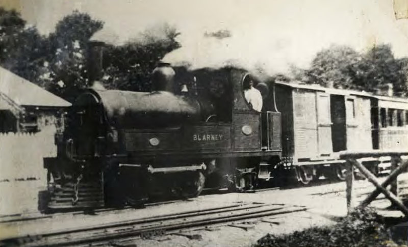 File:ColmCreedonCollection-CMLR-32of47-Blarney-at-Blarney-1888.png