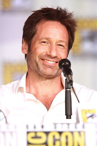 File:David Duchovny (9344795823).jpg