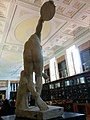 Discobolus rear