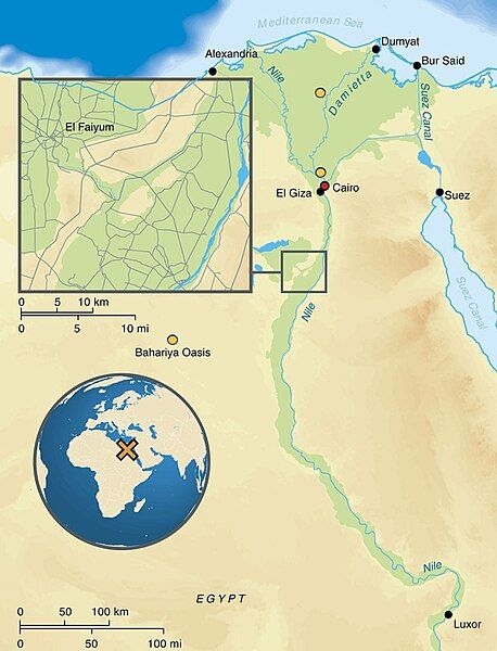 File:El Faiyum map.jpg