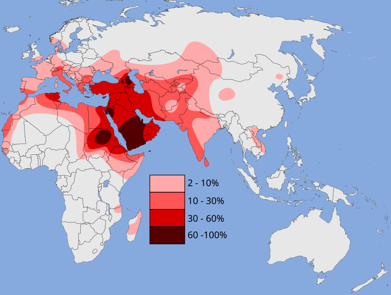 File:Haplogroup J (Y-DNA).svg