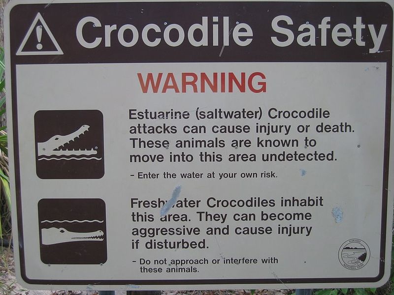 File:KakaduCrocSafety.JPG