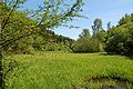 Natural reserve "Marie Mouchon" (Ciney)