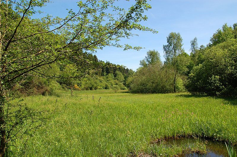 File:Marie Mouchon reserve.JPG