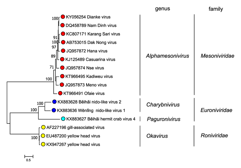 File:OPSR.Roni.Fig4.v2.png