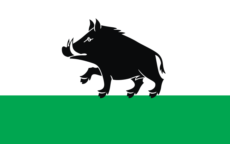 File:POL Łobżenica flag.svg