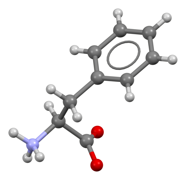 File:Phenylalanine-from-xtal-3D-bs-17.png