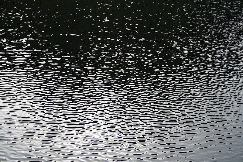 File:Ripples Lifjord.jpg