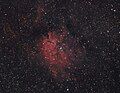 NGC 6820/NGC 6823 – Courtesy: Hunter Wilson