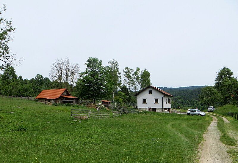 File:Suhi Potok Slovenia.jpg