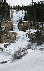 Tangle Creek, a tributary of the Sunwapta