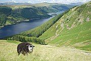 Thirlmere