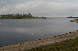 A lake with tree on the far bank