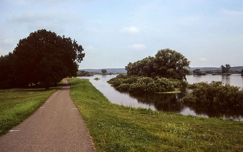 File:1997-07-29-Oderhochwasser-RalfR-img018.jpg