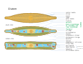 Thumbnail for version as of 22:36, 26 November 2023