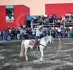 Charro with lariat at a horse show in Pachuca, Hidalgo, Mexico