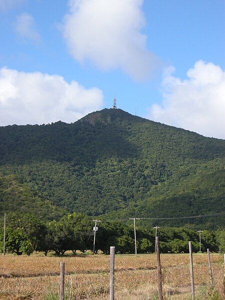 File:Boggy Peak.JPG