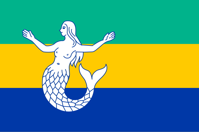 File:Flag of Eemsmond.svg