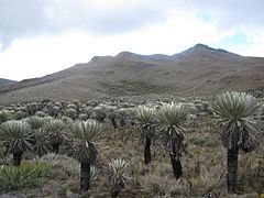 Páramo de Cruz Verde