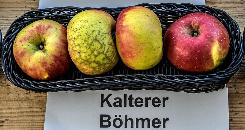 File:Kalterer Böhmer jm55271.jpg