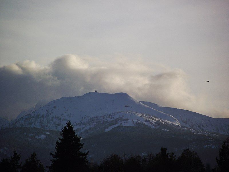 File:Mount Cokely.JPG