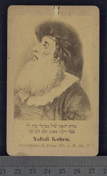 File:Naphtali Cohen.jpg