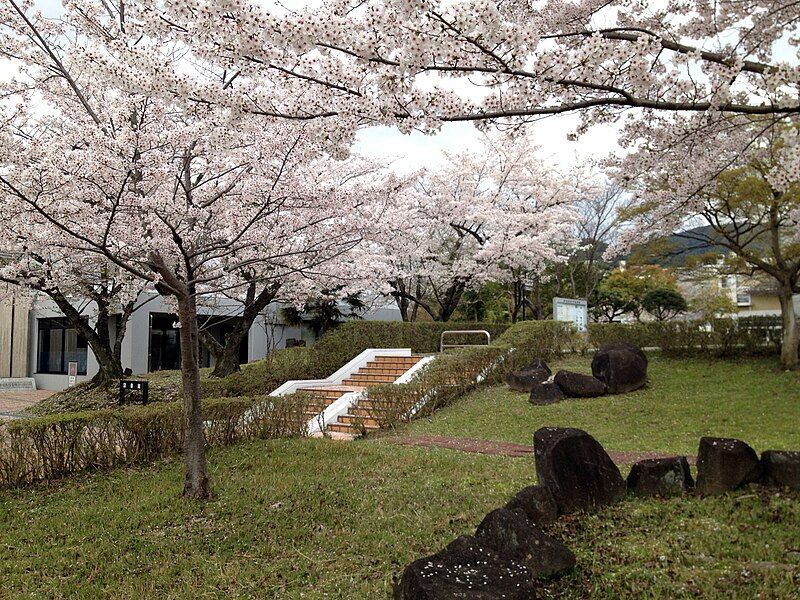 File:Nara-edu-Sakura.JPG