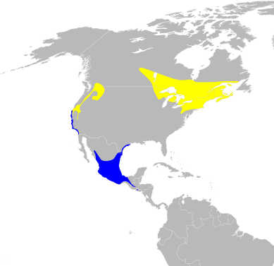 File:Oreothlypis ruficapilla map.svg