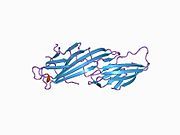 1bw8: MU2 ADAPTIN SUBUNIT (AP50) OF AP2 ADAPTOR (SECOND DOMAIN), COMPLEXED WITH EGFR INTERNALIZATION PEPTIDE FYRALM