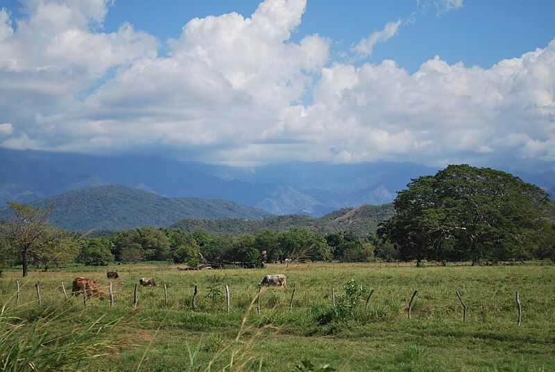 File:PastureSierraChiapas.JPG