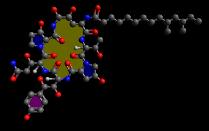 File:Pneumocandin B0 (HQ).png