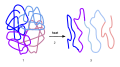 Process of Denaturation: 1) Functional protein showing a quaternary structure 2) when heat is applied it alters the intramolecular bonds of the protein 3) unfolding of the polypeptides (amino acids)