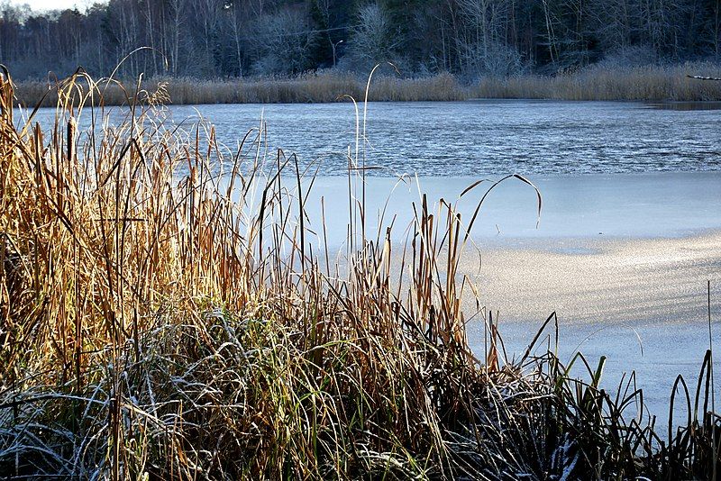 File:Råcksta lake.jpg