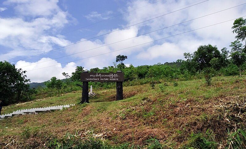 File:Taninthayi Nature Reserve.jpg