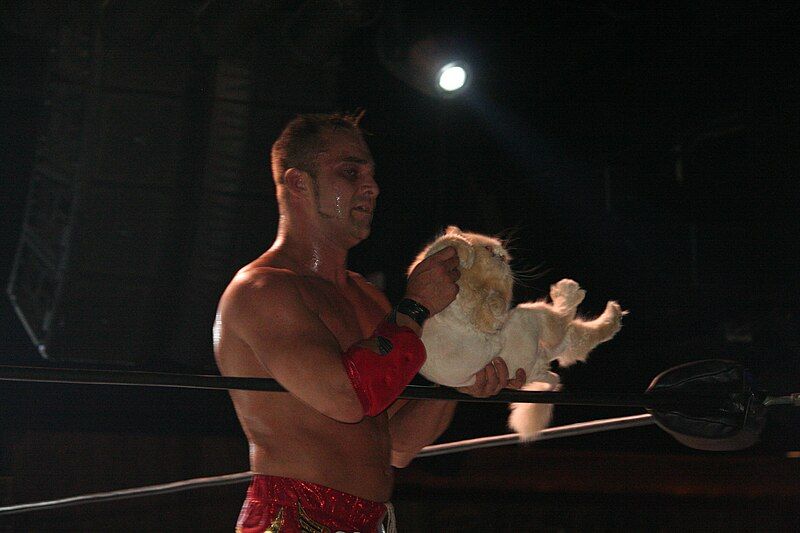 File:Teddy Hart (27926851550).jpg