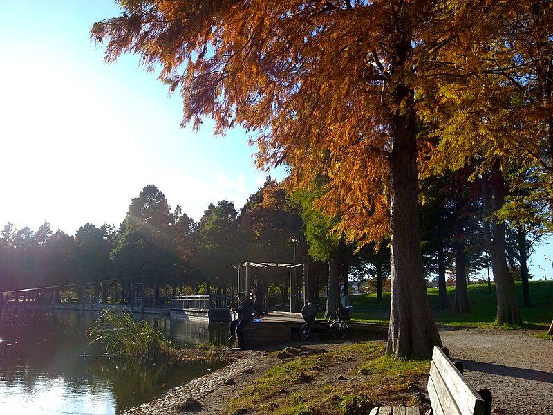 File:Toneripark-fallleaves-nov13-2014.jpg