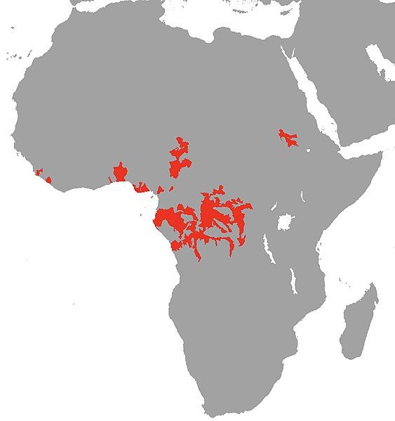 File:Xenomystus nigri Map.jpg