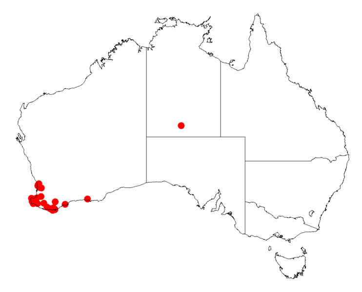 File:Acacia tetragonocarpaDistMap891.png